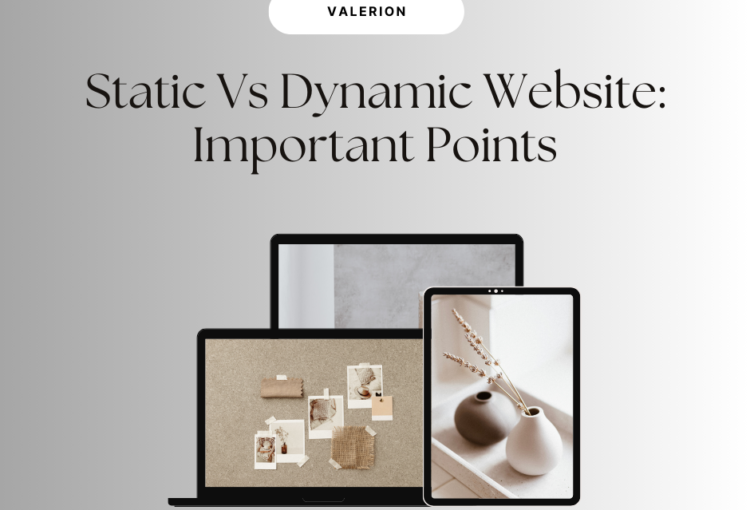 static and dynamic website